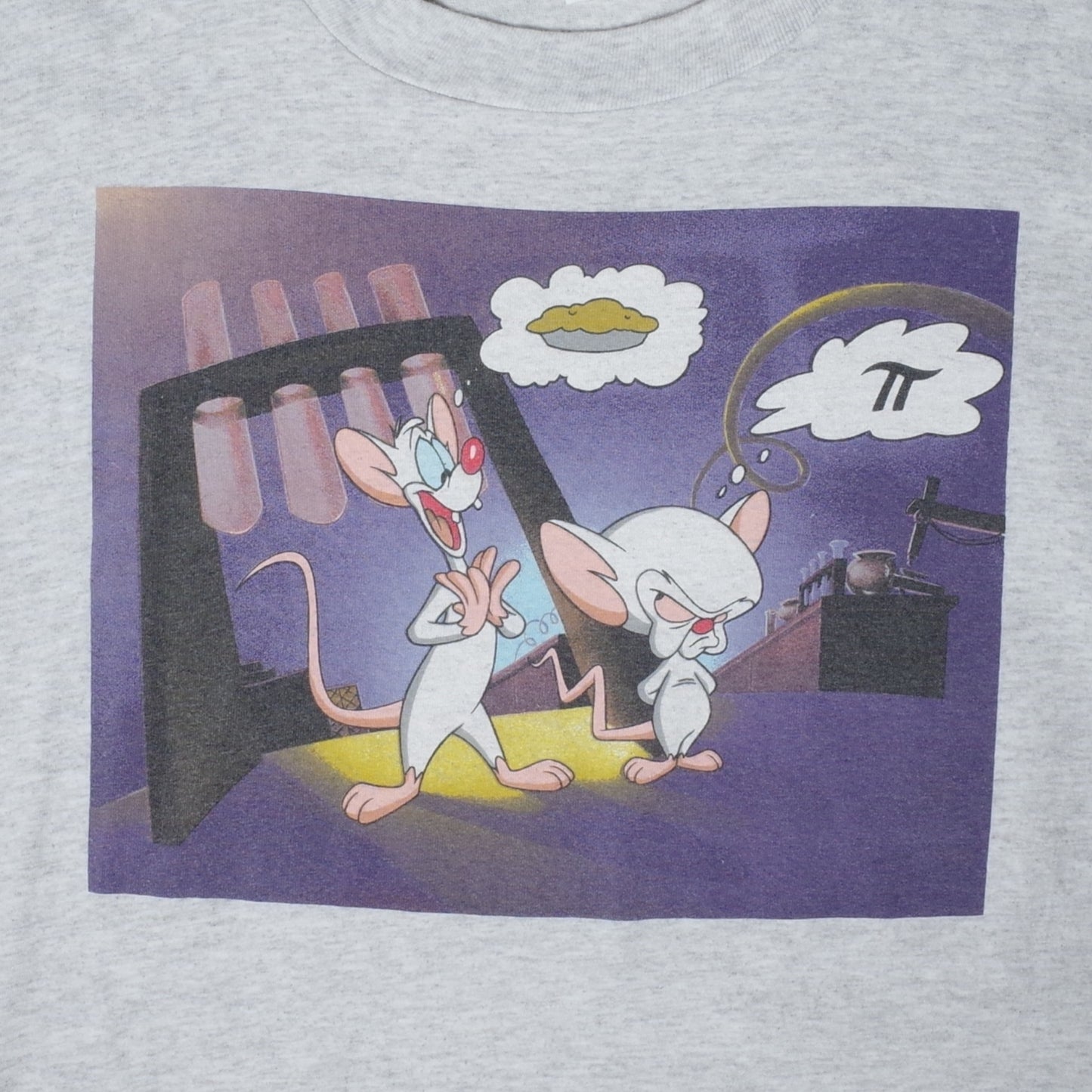 used&vintage "90s ANIMANIACS Pinky&Brain Tee"