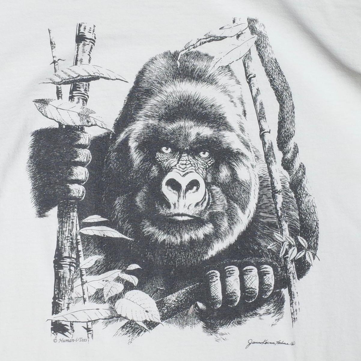 used&vintage "90s Gorilla Tee"